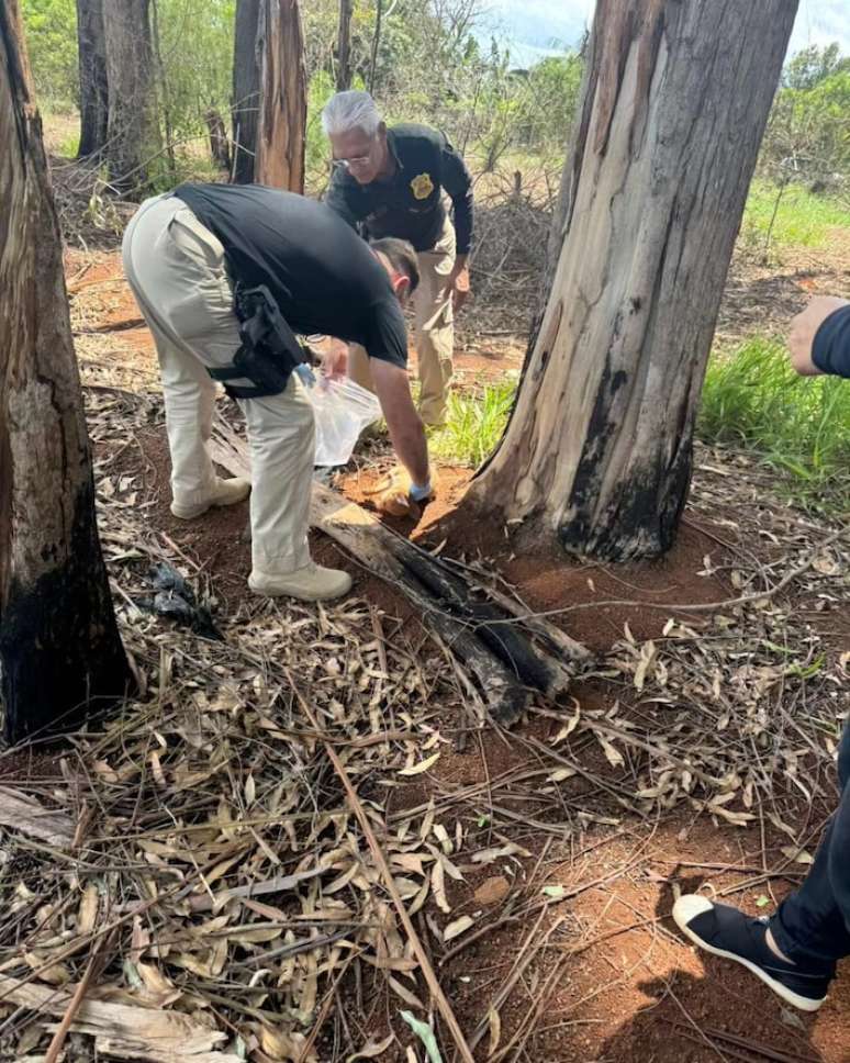 Animais mortos ou feridos foram resgatadosesportes da sorte pnglocais próximos à casa do suspeito de atuar como 'serial killer' de cães e gatos