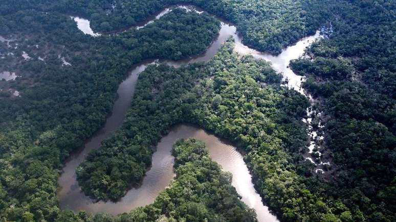 As mudanças climáticas aquecem a bacia amazônica, tornando a floresta mais seca, como acontece ao lado do rio fervente