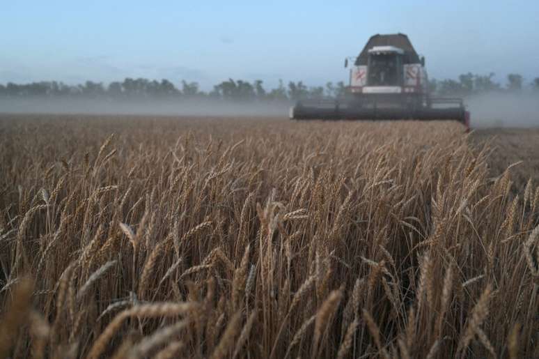 Lavoura de trigo
10/07/2024
REUTERS/Sergey Pivovarov