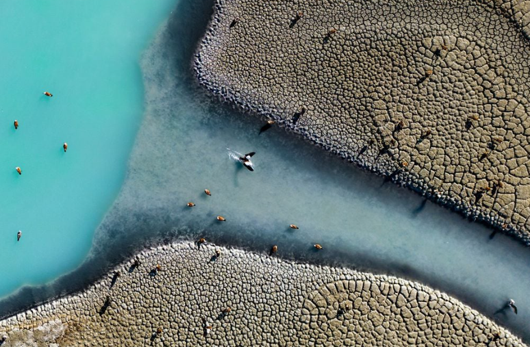 O primeiro lugar é uma vista aérea do Lago Burdur, repleto de espécies de aves nativas da Turquia