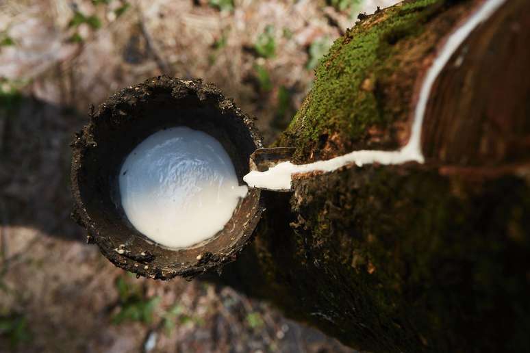 O látex, por si só, já funcionava bem. Mas havia um segredo para aumentar sua versatilidade