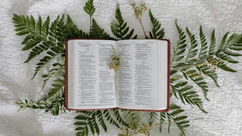 O astr&oacute;logo Jo&atilde;o Bidu revelou quais s&atilde;o os salmos de cada signo para passar 2025; leia a mat&eacute;ria e descubra qual &eacute; o seu