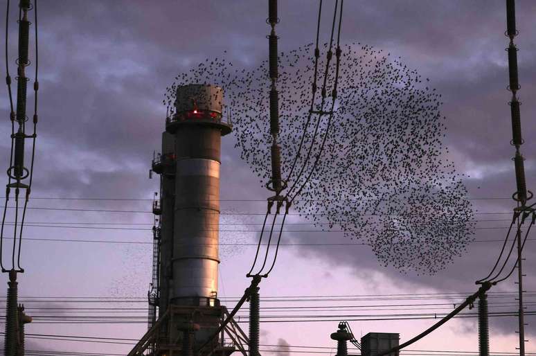 a murmuration of birds looks like smoke from a factory smokestack