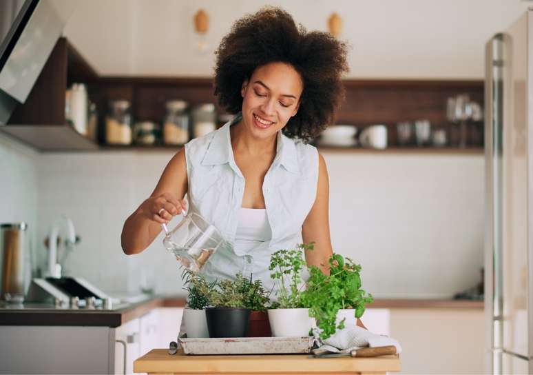 Já imaginou a praticidade que seria ter uma horta na cozinha de casa? – Foto: Shutterstock