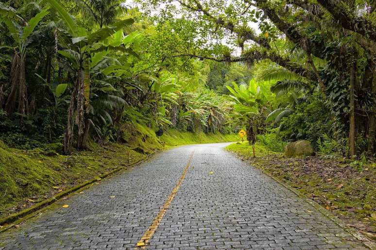 Jalan Graciosa 