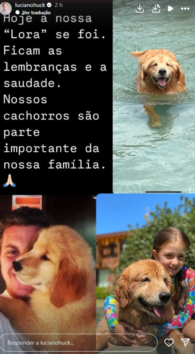 Luciano Huck lamentou a morte de uma de suas cachorras 