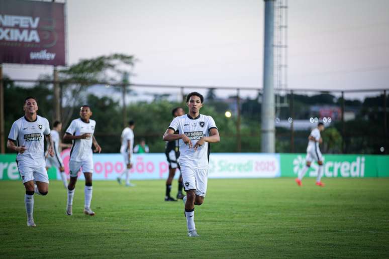 Time do Botafogo comemorando o gol. 