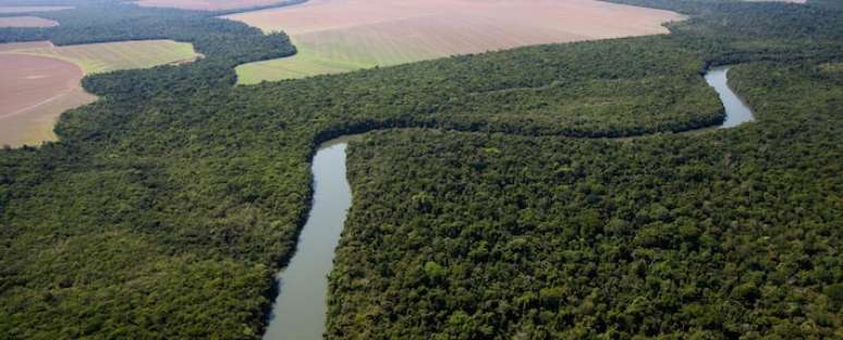 Lei abre brecha para aumento do desmatamento no Mato Grosso, afirmam ambientalistas