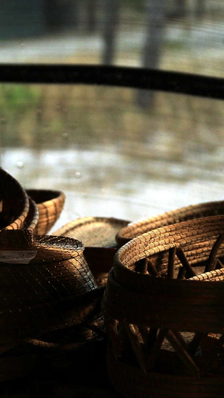 Capim dourado do Jalapão 