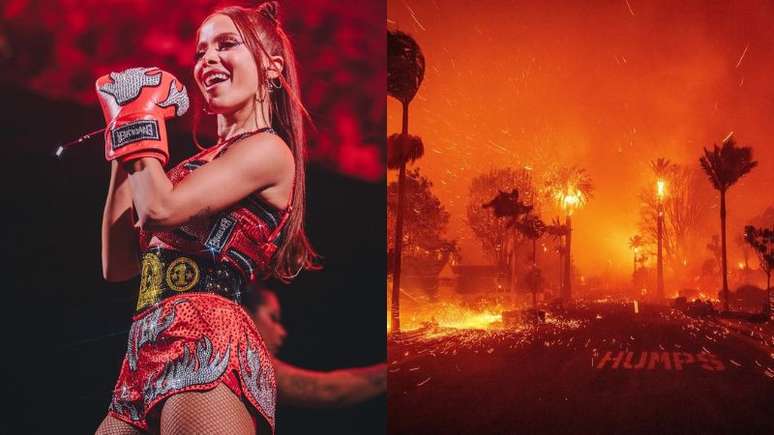 Anitta faz apelo por doações após incêndios em Los Angeles