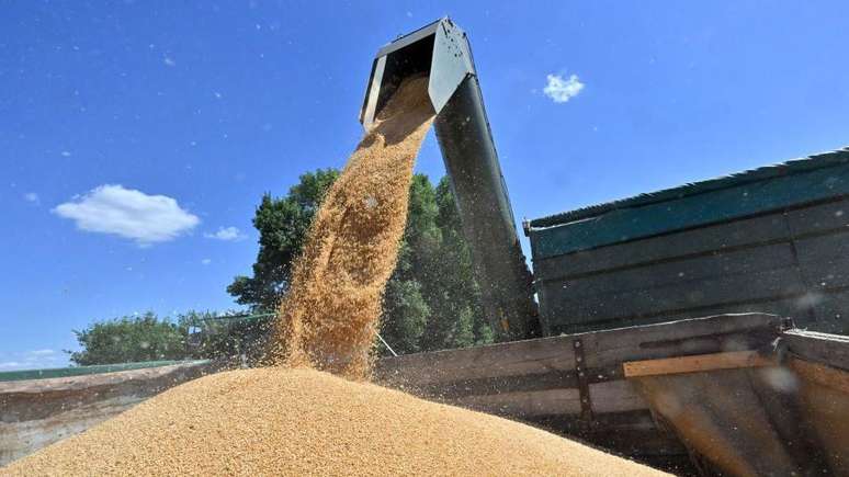 Forças russas foram repetidamente acusadas de roubar cereais de agricultores ucranianos nas zonas ocupadas