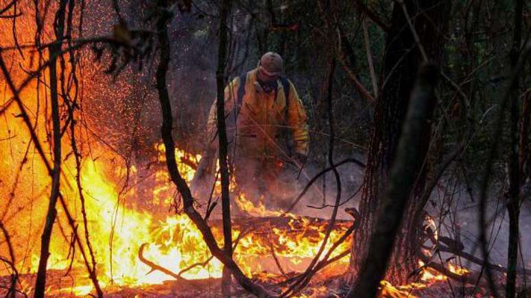 No Brasil, queimadas deixaram rastros de destruição no Cerrado, no Pantanal e na Amazônia em anos recentes