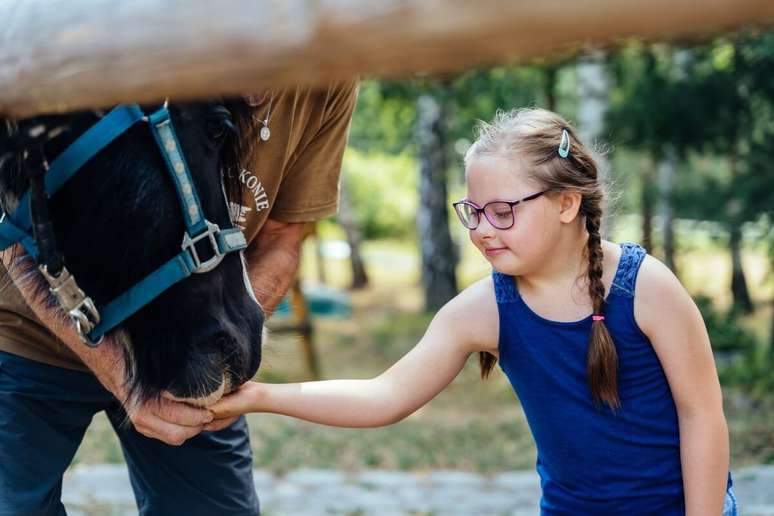 O contato com os animais promove percepções sensoriais e aumenta a conscientização corporal 