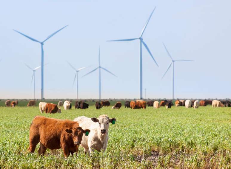 Produção de energia eólica no Texas; para especialista, produção de energia renovável pode aproximar Brasil e EUA