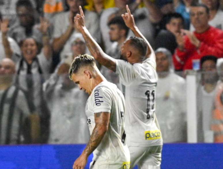 Santos busca segunda vitória em casa na temporada –