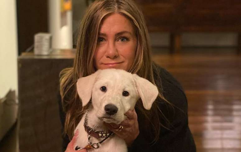 Jennifer Aniston explicou por que não teve filhos