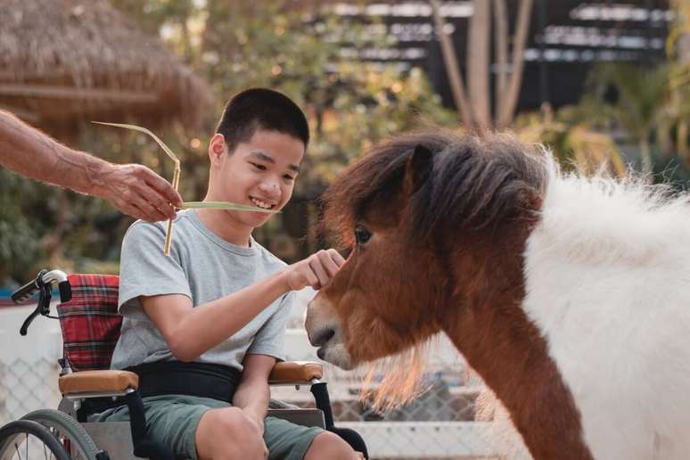 A terapia assistida com animais promove melhorias físicas, emocionais e cognitivas aos pacientes 