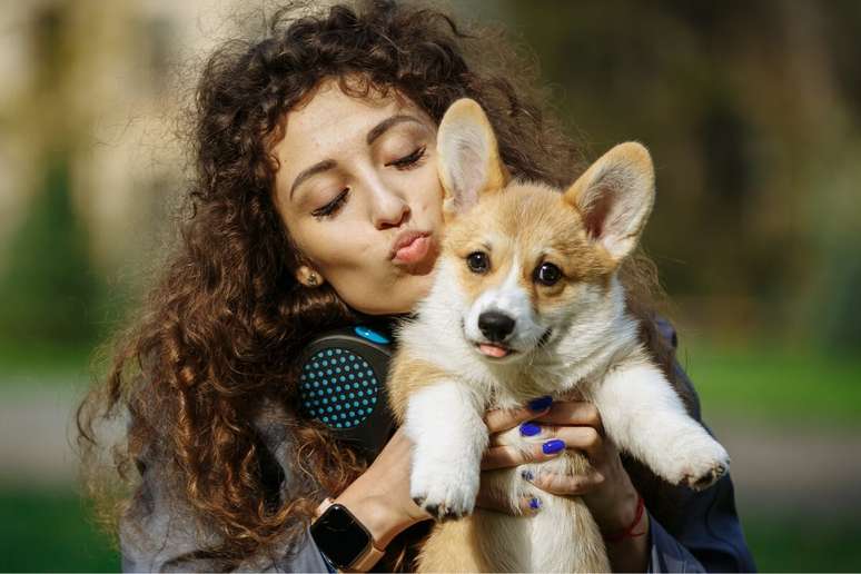 É importante respeitar o animal durante as interações 