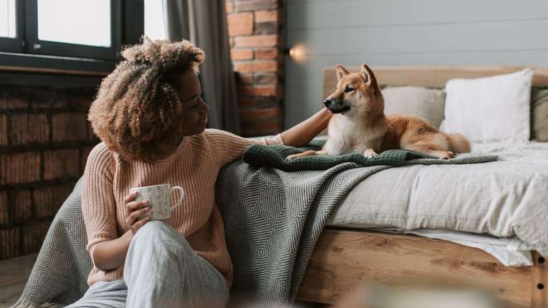 Sabe quando parece que seu cachorro ou gato quer falar com você? A técnica da comunicação intuitiva animal pode tornar isso real; descubra