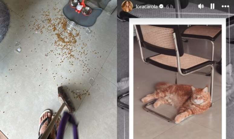 A atriz ainda brincou com a situação filmando seu gato, Chilli