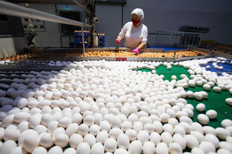 Valor total da Mantiqueira, maior produtora de ovos da América do Sul, foi de R$ 1,9 bilhão