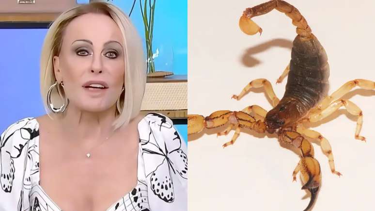 Ana Maria Braga &eacute; picada por escorpi&atilde;o e levada &agrave;s pressas para hospital
