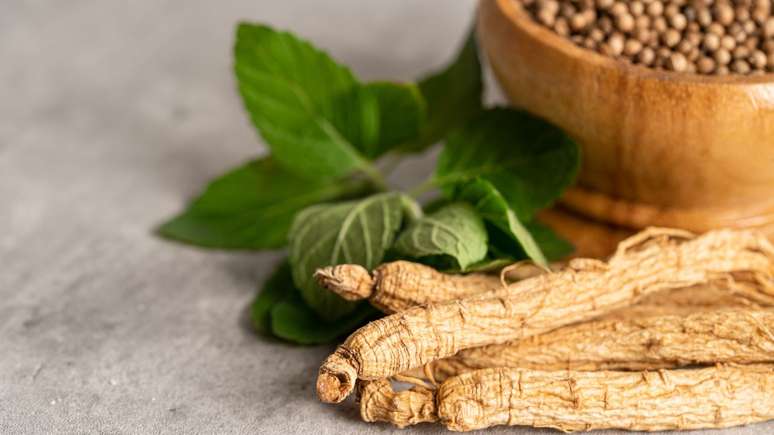 Brazilian Ginseng: a superpotent plant of our land to improve physical and mental resistance