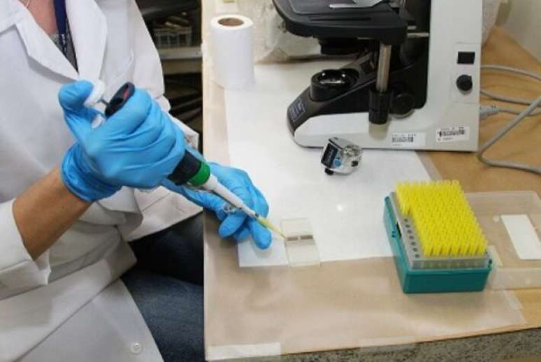 Com apenas 6 vagas, o curso de Biomedicina da UFPR foi o mais concorrido no Sisu neste ano, superando a concorrência de Medicina na UEM, com 4 vagas