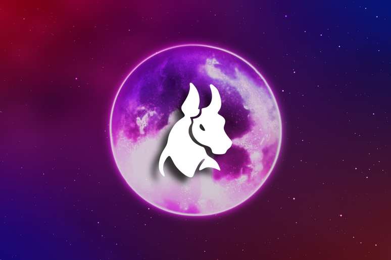 O nativo de Touro gosta de aproveitar o calor com alternativas econ&ocirc;micas para se refrescar 