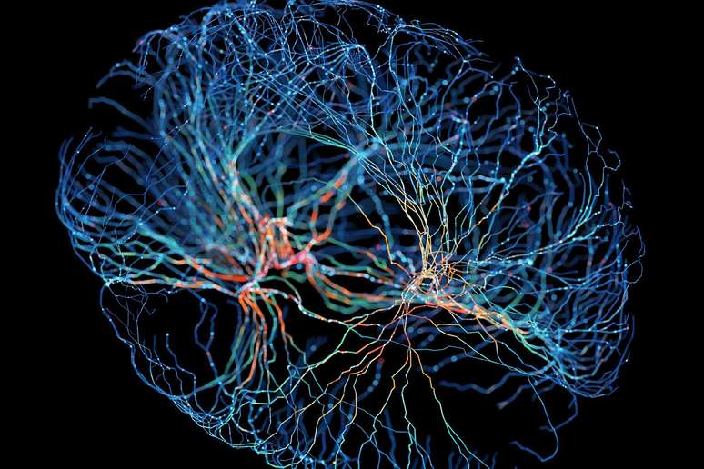 Quian Quiroga afirma que os neurônios conceituais são exclusivos dos seres humanos: 'Eles são a base da inteligência humana'