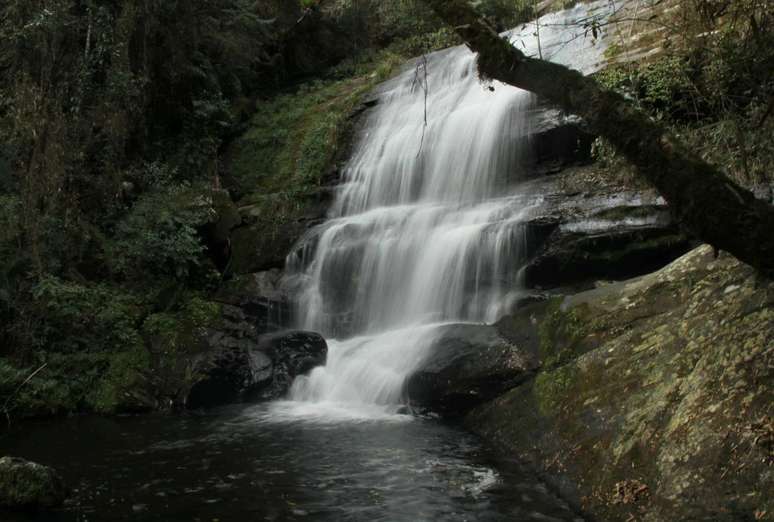 Cachariros Trail, em Serra Do Mar 