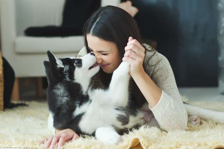 Dogs can also feel jealous of tutor Dogs can also feel jealous of tutor