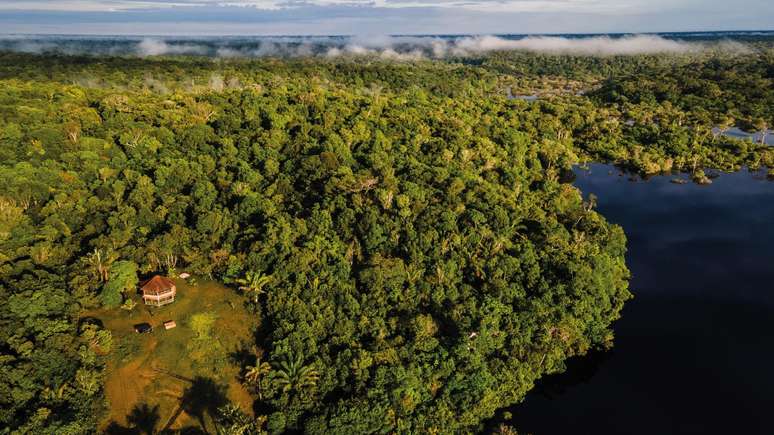 Amazônia