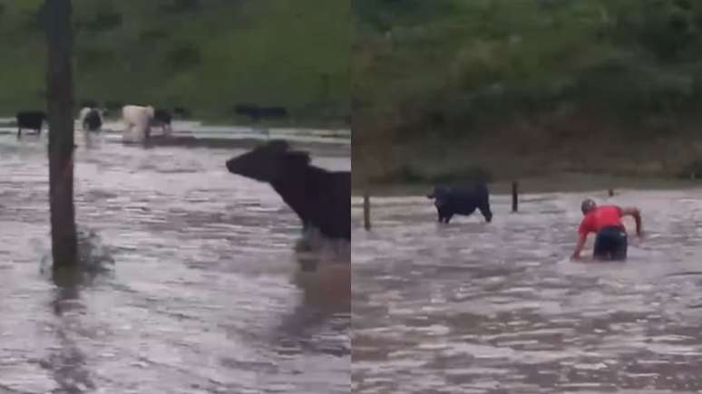 The sanctuary is worth by Queen is flooded with water that caused damage; Look at how to help