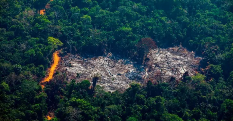 Área desmatada dentro da Terra Indígena Menkragnoti, no Pará; Estado é o campeão em desmatamento no Brasil desde 2006