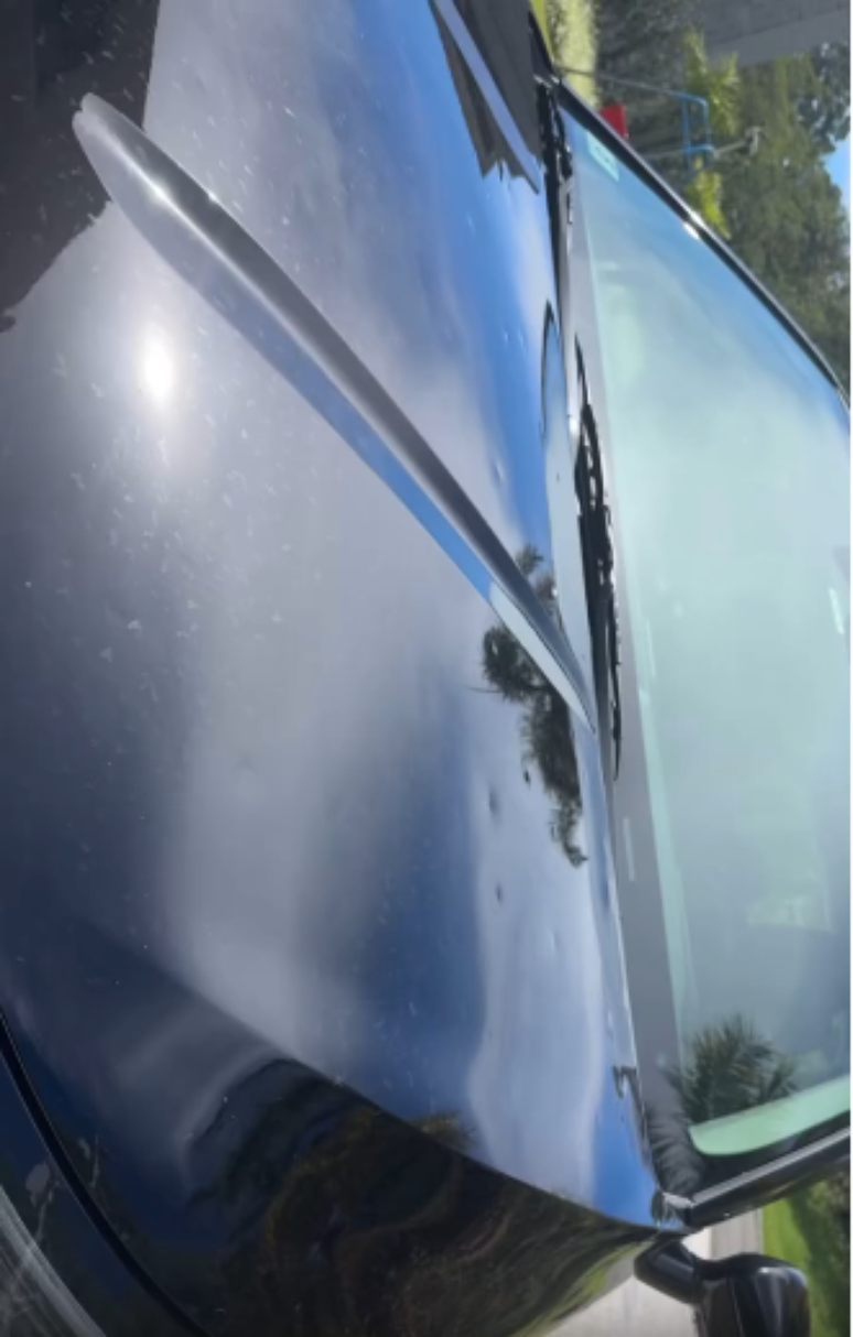 Reprodu&ccedil;&atilde;o/Instagram