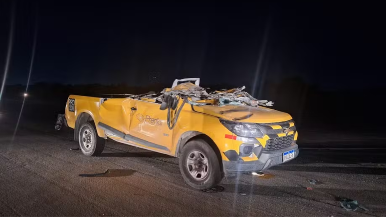 Reprodu&ccedil;&atilde;o