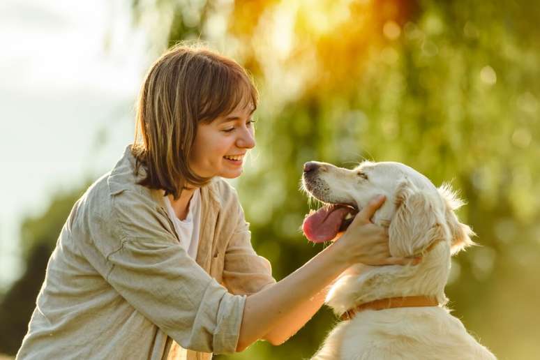 Conferir a temperatura dos animais de estimação é fundamental para ajudar a garantir o conforto térmico 