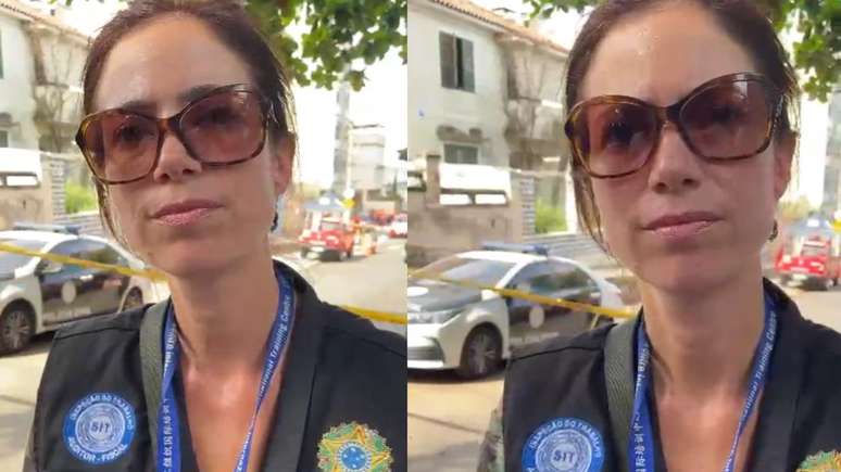 Ana Luiza Horcades - Auditora Fiscal do Trabalho; chefe da Seção de Segurança e Saúde no Trabalho no Rio de Janeiro