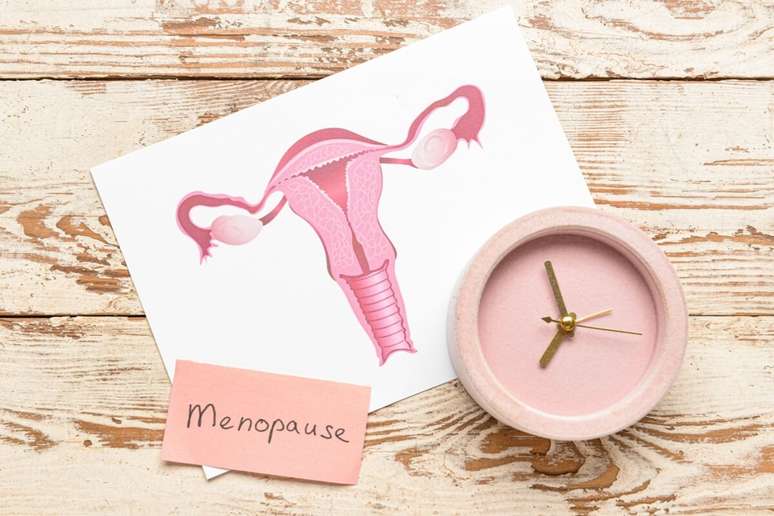 A menopausa traz mudanças hormonais que podem se manifestar em sintomas diferentes para cada mulher