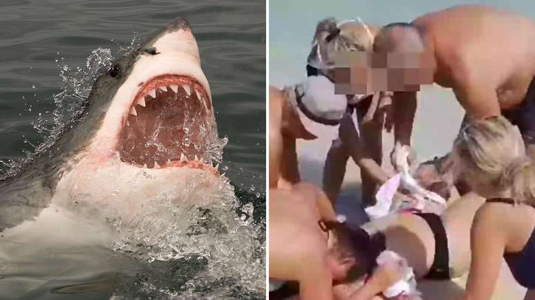 Desespero! Tubarão devora mão de mulher que tentava tirar selfie no Caribe