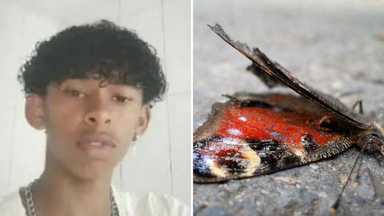 14 -year -old Boy dies by injecting the butterfly dead in the vein; understand