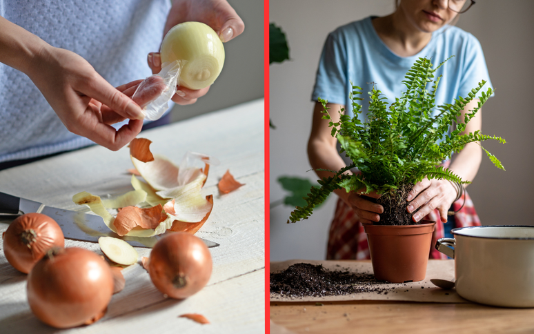 Why do people put onion shells on plants and what is this trick for?