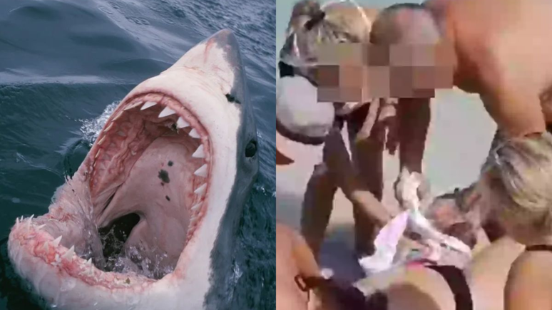 Mulher tenta tirar selfie com tubarão e tem mãos devoradas no mar do Caribe