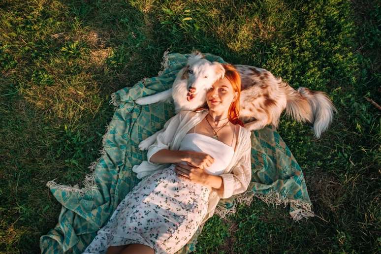 O pastor australiano se adapta um pouco melhor a momentos de descanso com o tutor 