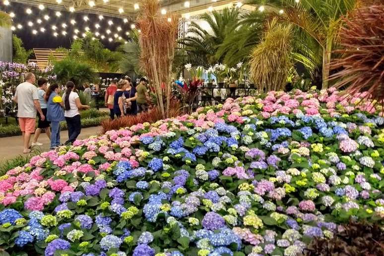 A Festa das Flores &eacute; realizada anualmente em novembro 