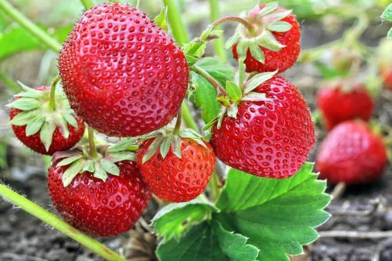 7 Advantages of Strawberry for Health and creative ways to use it