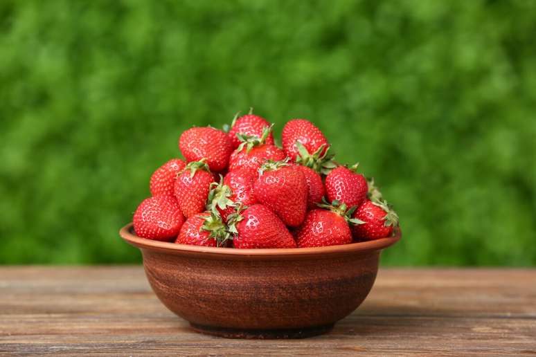 The strawberry is rich in fiber and has a prebiotic action The strawberry is rich in fiber and has a prebiotic action