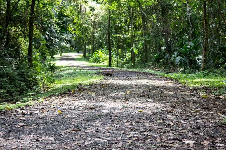 O Parque Metropolitano é um dos maiores parques urbanos da América Latina 
