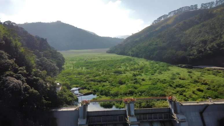 Barragem de Pirapora coberta por macrófitas, plantas aquáticas que ficam na superfície e causam represamento da água.